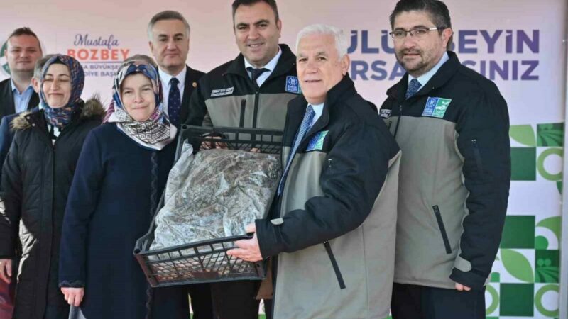 Bursa’daki çilek üretiminin daha verimli hale getirilmesi hedefiyle 147 üreticiye