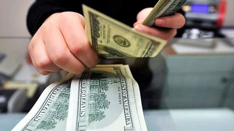 Faiz kararı sonrası dolar ve euroda son durum