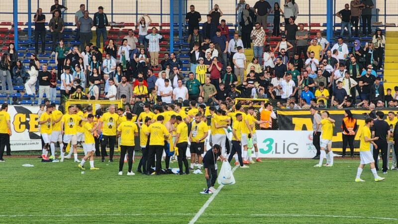 Bursaspor’la birlikte kimler 2.Lig’e yükseldi kimler düştü? Bursa’da sürpriz şampiyonluk… Nesine 3.Lig'de son hafta maçları nefes kesti. Bursaspor ve Muğlaspor'un