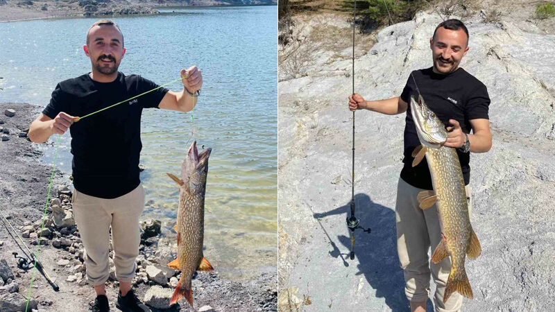 Bursa’da balıkçının oltasına takıldı! Tam 7 kilo ağırlığında… Bursa’nın İnegöl ilçesindeki baraj gölünde avlanan balıkçının ağına 1 metre
