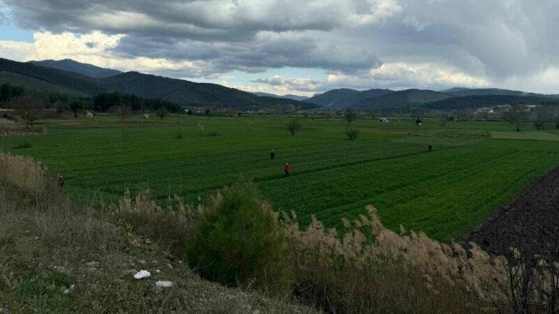 Bursa’da kayıp alarmı verilen adamdan 36 saat sonra haber var! Bursa’nın Orhaneli ilçesinde köpeği ile birlikte gezmek için evden çıkan