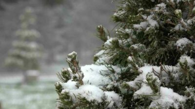 Uludağ’da ‘nisan karı’ bereketi