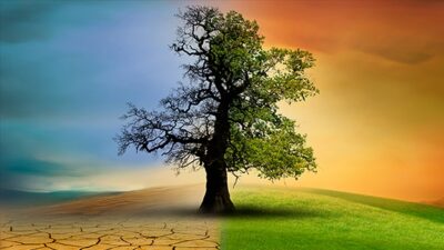 14 soruda ‘İklim Kanunu Teklifi’