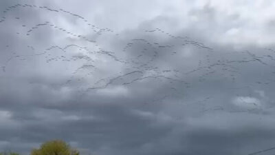 Bursa’da görsel şölen