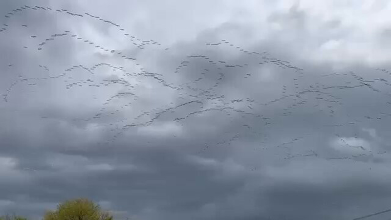 Bursa’da görsel şölen