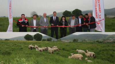 Bursa’da hayvancılığa büyük destek