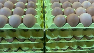 Yumurta fiyatları düşüyor mu? Açıklama var…