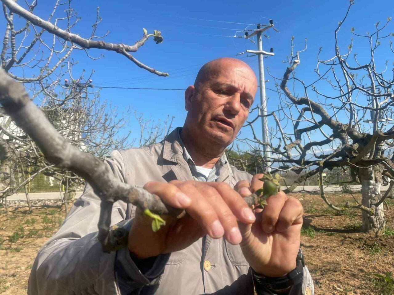 Zirai don Bursa siyahını etkiledi mi?