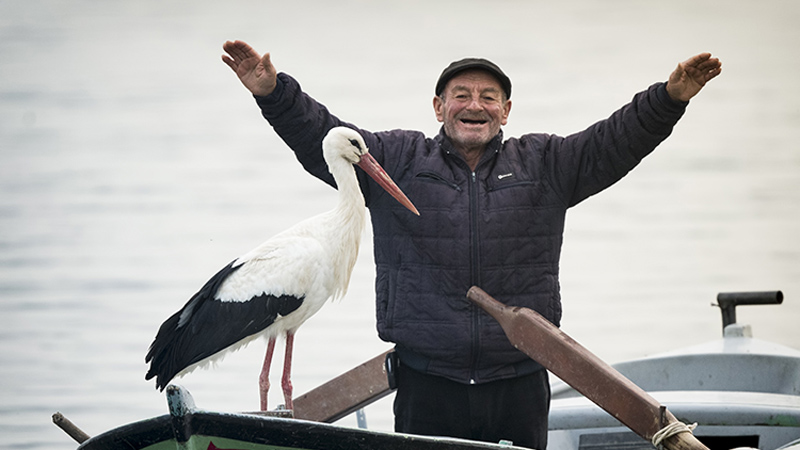 Bursa’nın simgelerinden Yaren leylekten güzel haber