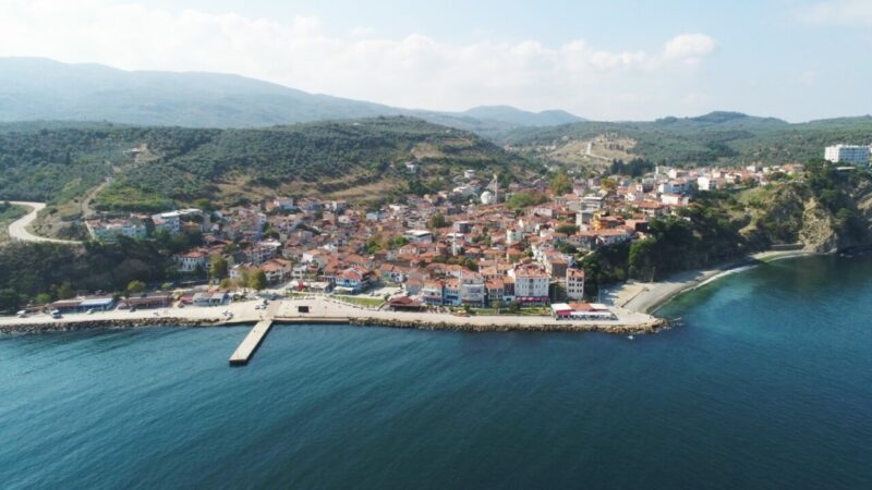 Mudanya Belediyesi'nin bu yıl ilk kez düzenlediği Tirilye Zeytin Çiçeği