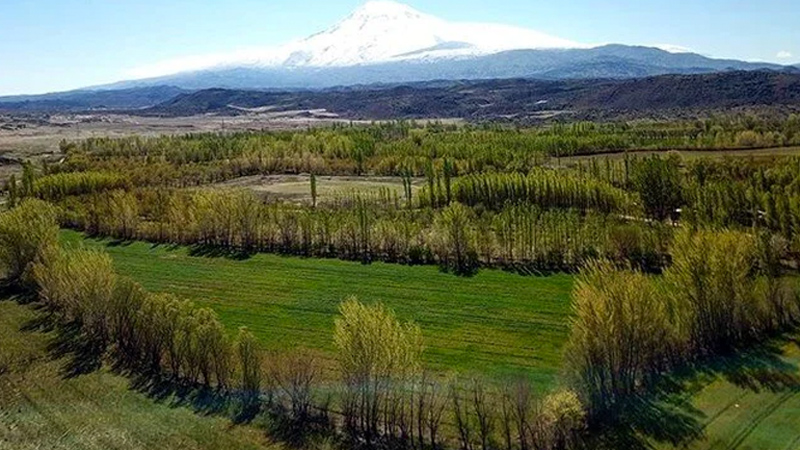 2B arazilerinde tapu süreci nasıl olacak? İşte merak edilenler
