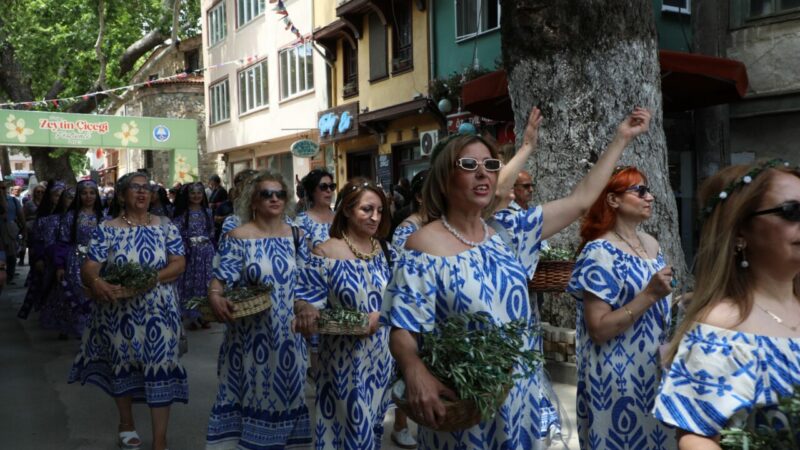 Mudanya Belediyesi'nin bu yıl ilk kez düzenlediği Tirilye Zeytin Çiçeği