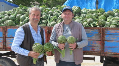 Bursa’nın coğrafi işaretli ürününde ilk hasat!