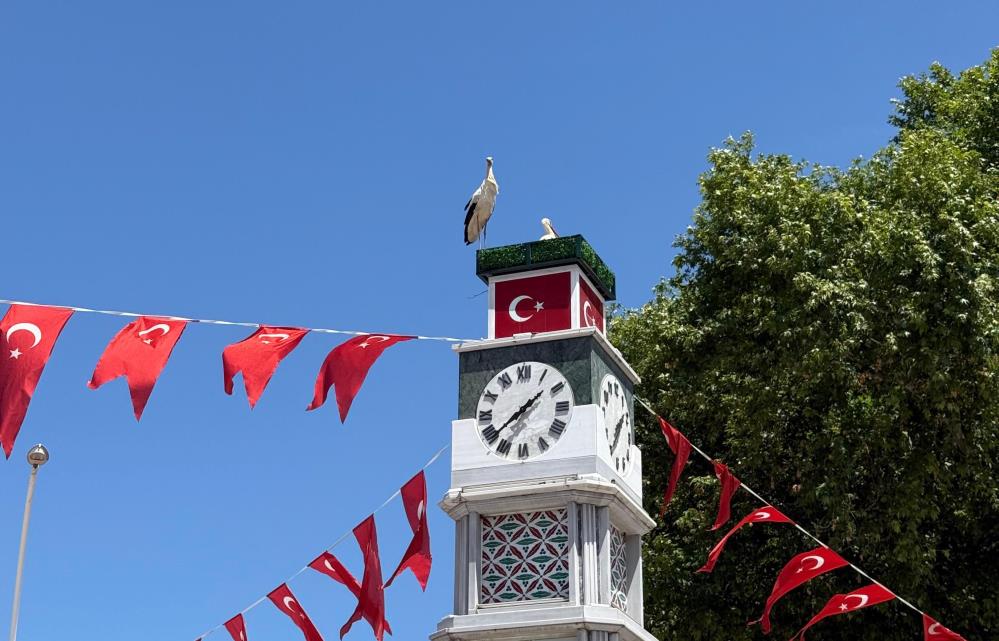 Bursa’da yürek ısıtan doğa olayı