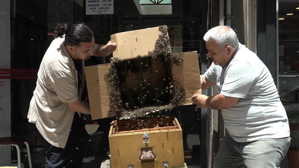 Bursa’da iş merkezine arı istilası! Korku dolu anlar…