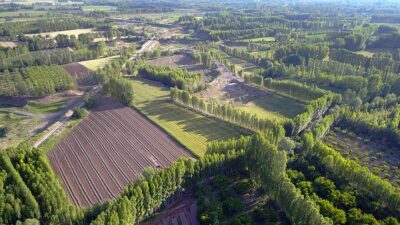 Bu karara Bursa’dan yoğun talep gelebilir