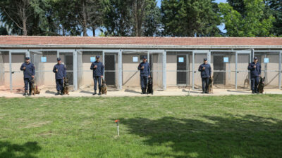 Bursa jandarmasının hassas burunları! Göreve hazır bekliyor