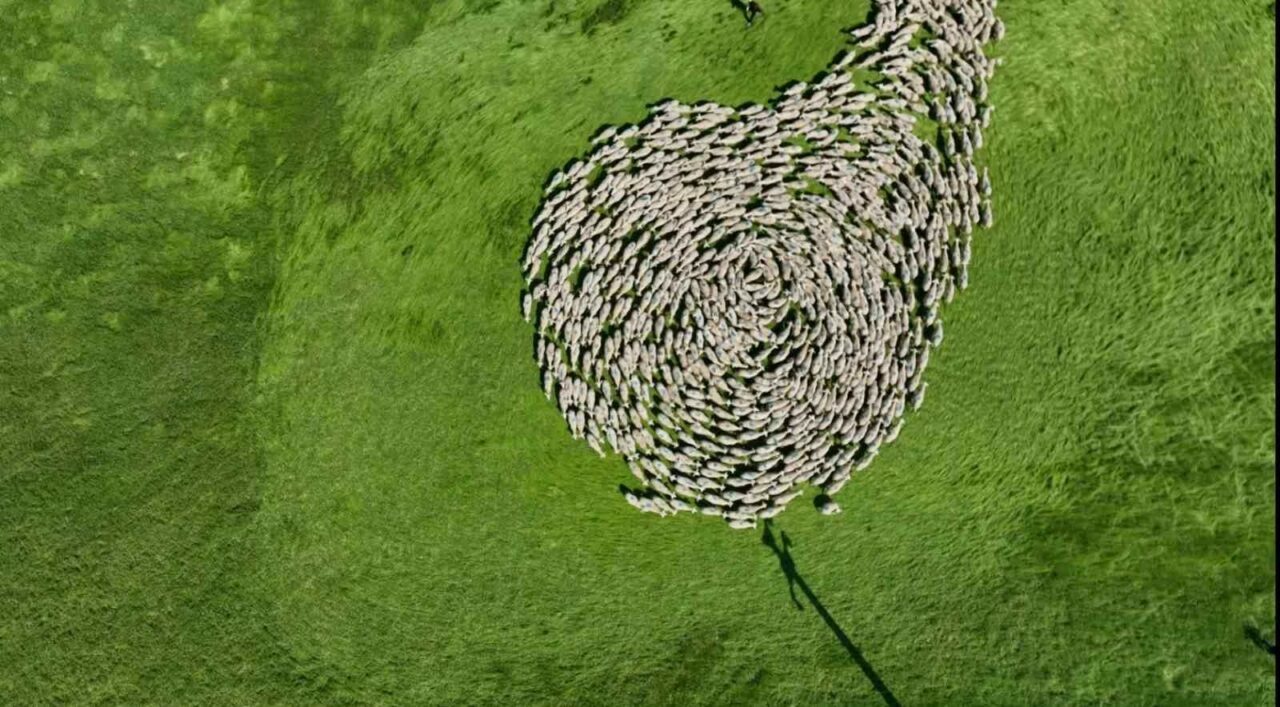 Bursa meralarında görsel şölen