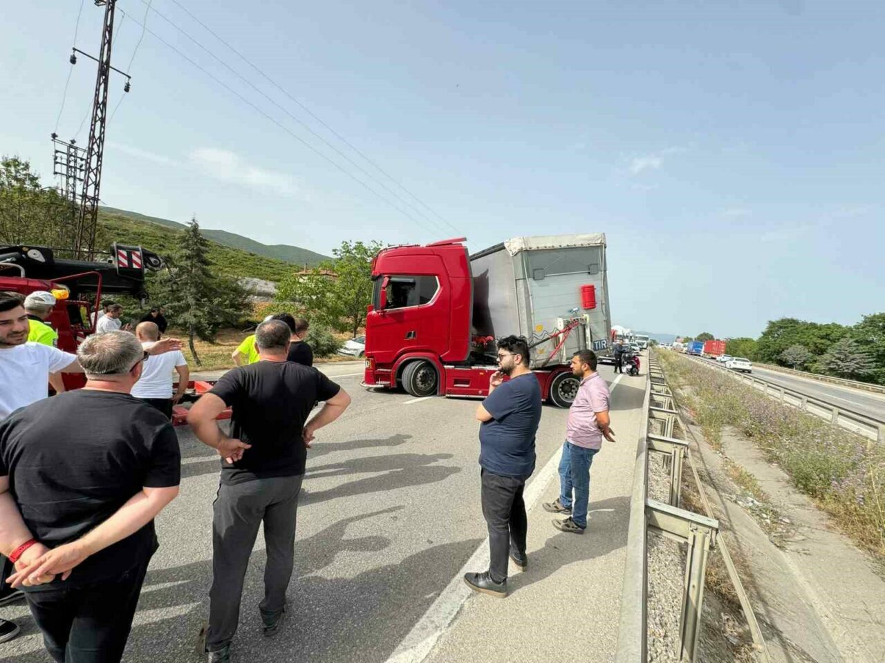 Bursa’da arı kâbusu! Yüzlerce kişi…