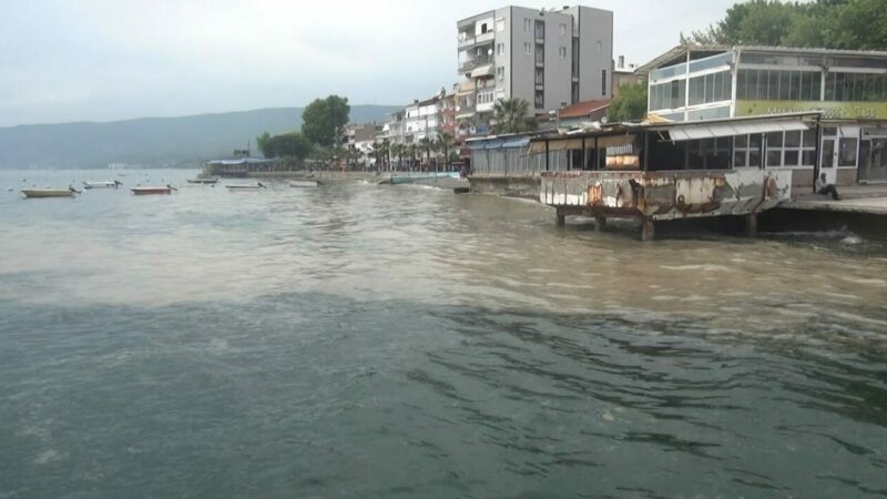 Bursa'nın Gemlik Körfezi müsilajla kaplanırken, ilçenin turistik mahallelerinin sahillerinde oluşan