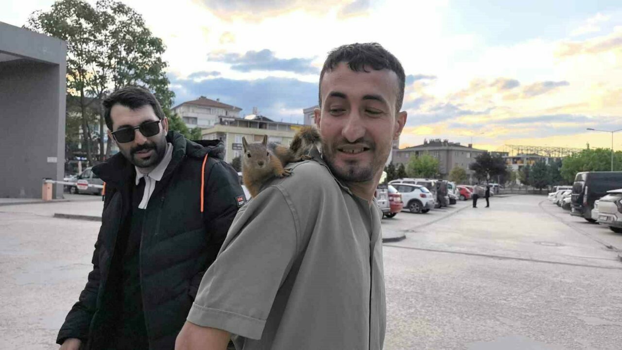 Bursa’da eliyle beslediği sincap, peşini bırakmadı