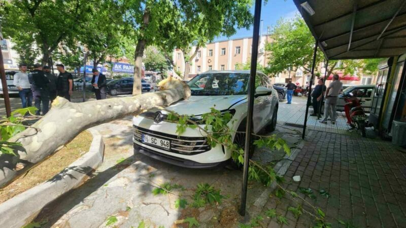 Bursa’da facia ucuz atlatıldı Bursa’nın Mustafakemalpaşa ilçesinde öğretmenevinin bahçesinde bulunan çınar ağacından kopan büyük