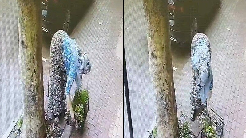 Bursa’da o anlar kamerada! İşte böyle çaldı