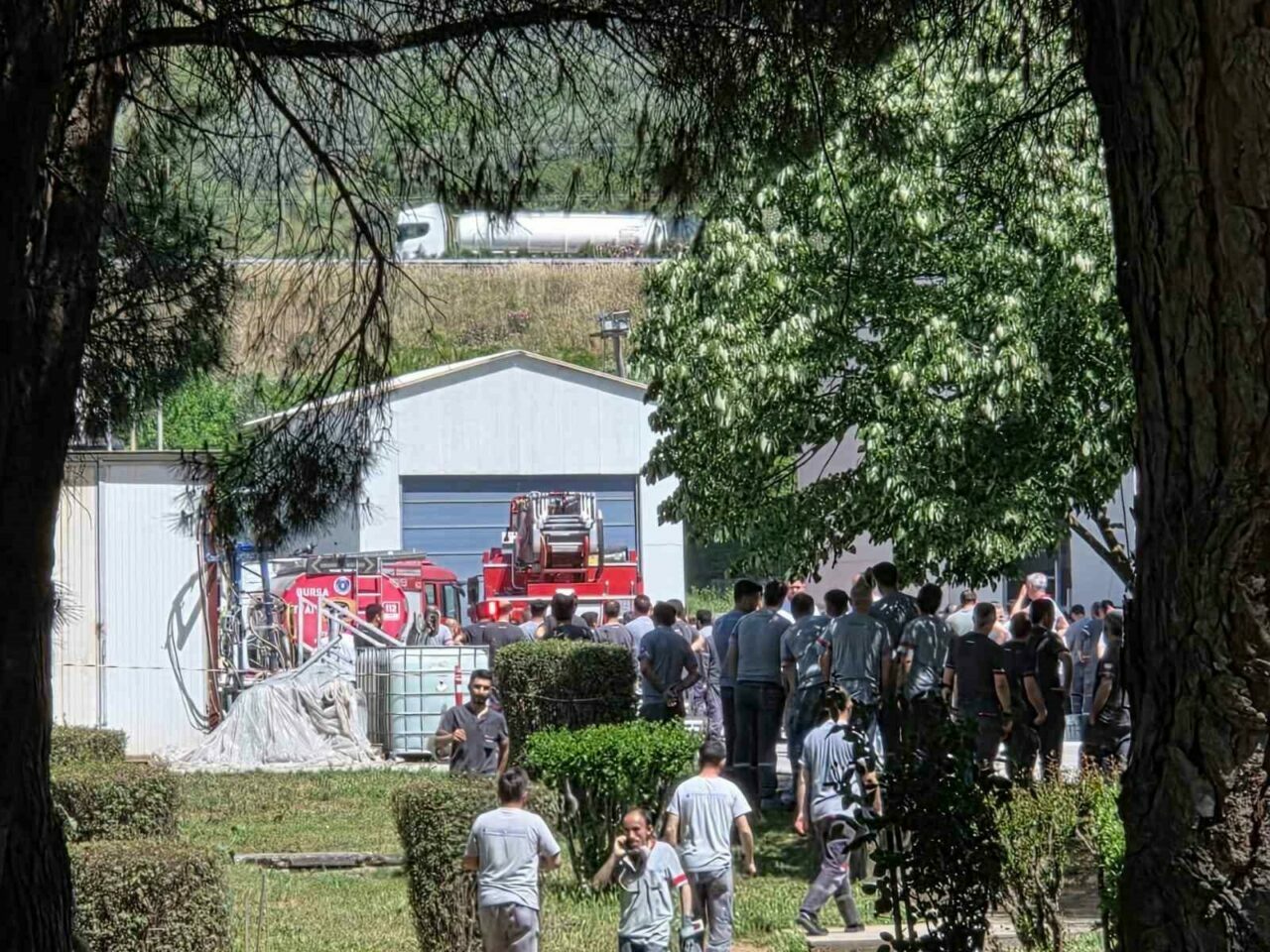 Bursa’da bir yangın daha Bursa’da bir yangın daha