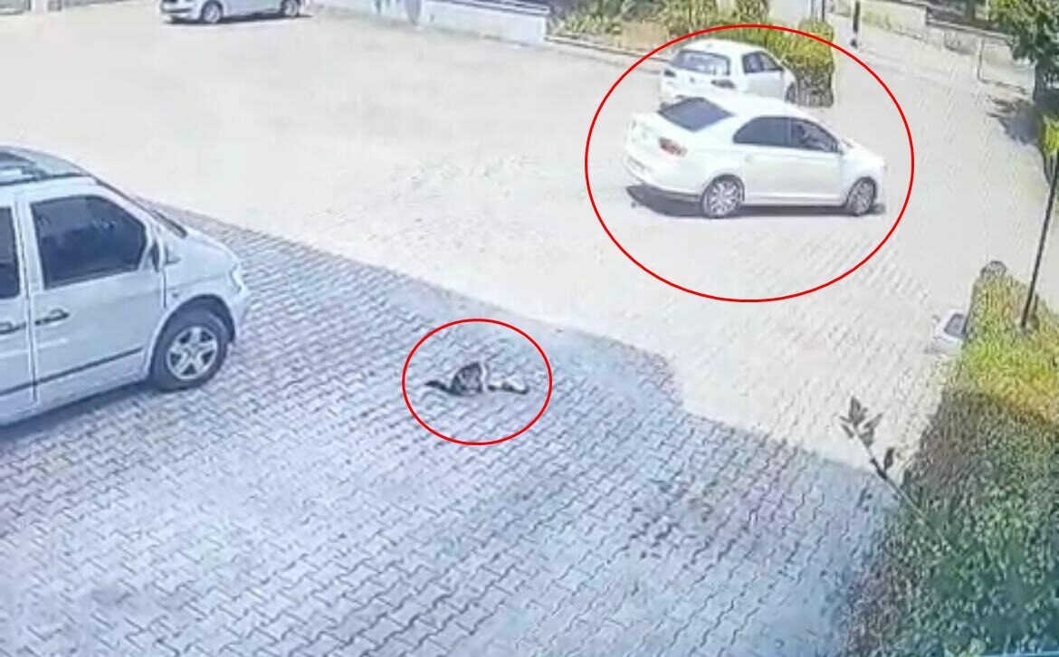 Bursa’da yürek sızlatan görüntü