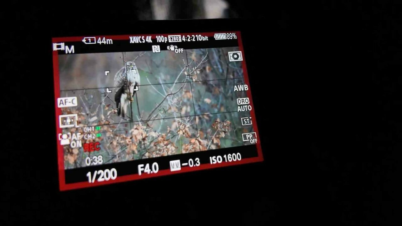 Bursalı fotoğrafçı görüntüledi!