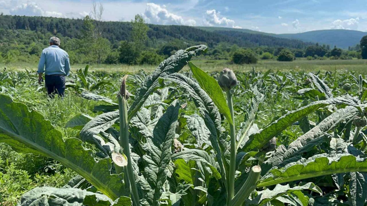 Bursa’nın tescilli markasında hırsızlık şoku! Polis her yerde arıyor