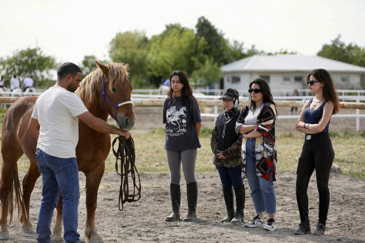 Bursa’da üniversite öğrencileri atları ‘oyunlarla’ eğitiyor