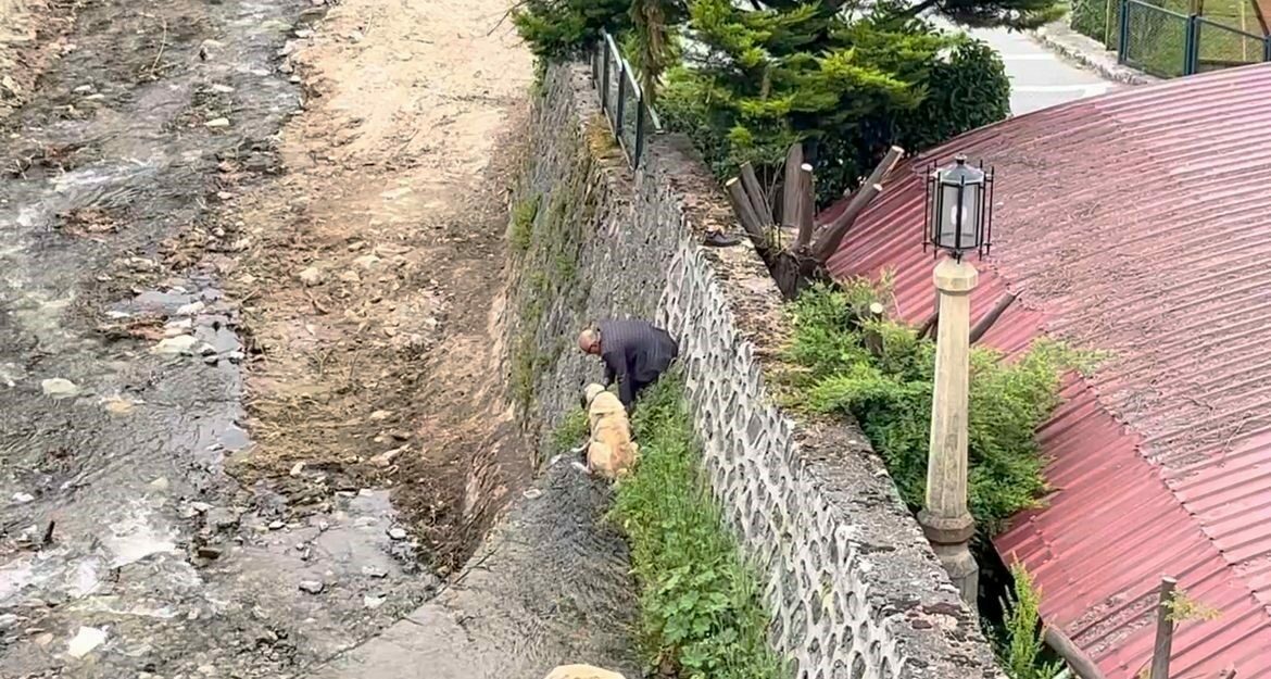 Derede mahsur kalan köpekler bakın nasıl kurtarıldı