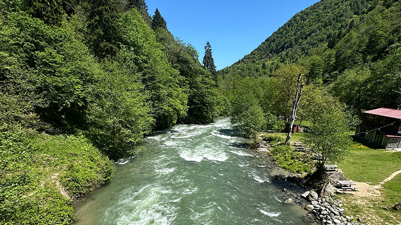 Yeşilin her tonuna sahip Kaçkarların hırçın şehri, Mayıs’ta daha bir başka! Yeşilin her tonuna sahip Kaçkarların hırçın şehri, Mayıs’ta daha bir başka!