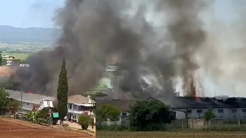 Bursa’nın Yenişehir ilçesinde bulunan canlı hayvan çiftliğinde yangın çıktı. 4