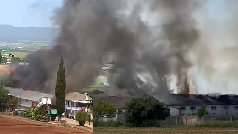 Bursa’da hayvan çiftliğinde büyük yangın! Bursa’da hayvan çiftliğinde büyük yangın!