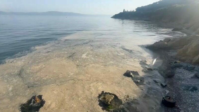 Bursa kıyılarında müsilaj kâbusu Bursa’nın Gemlik Körfezi’nde her geçen gün artan müsilaj yoğunluğu, vatandaşları