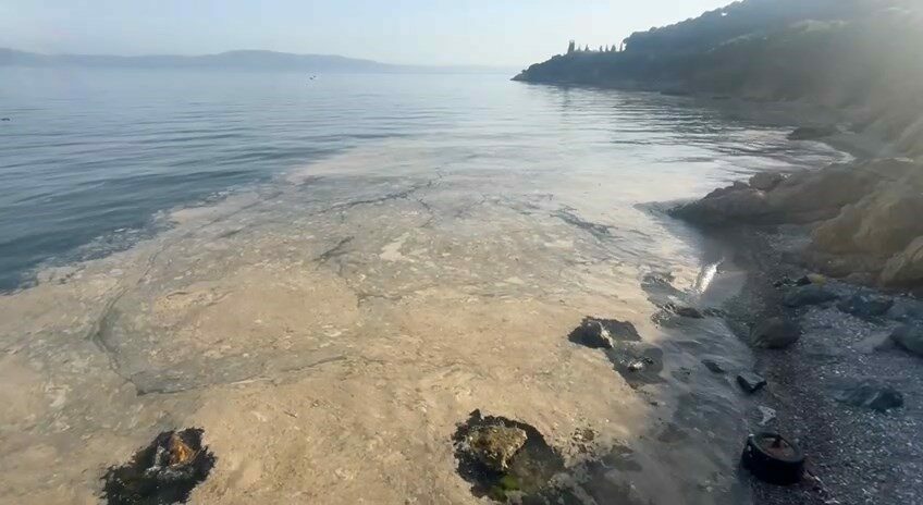 Bursa kıyılarında müsilaj kâbusu