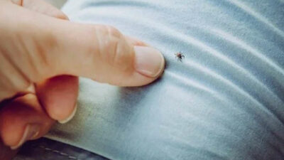 Kene kabusu devam ediyor: 2 ölü, 6 kişi hastanede