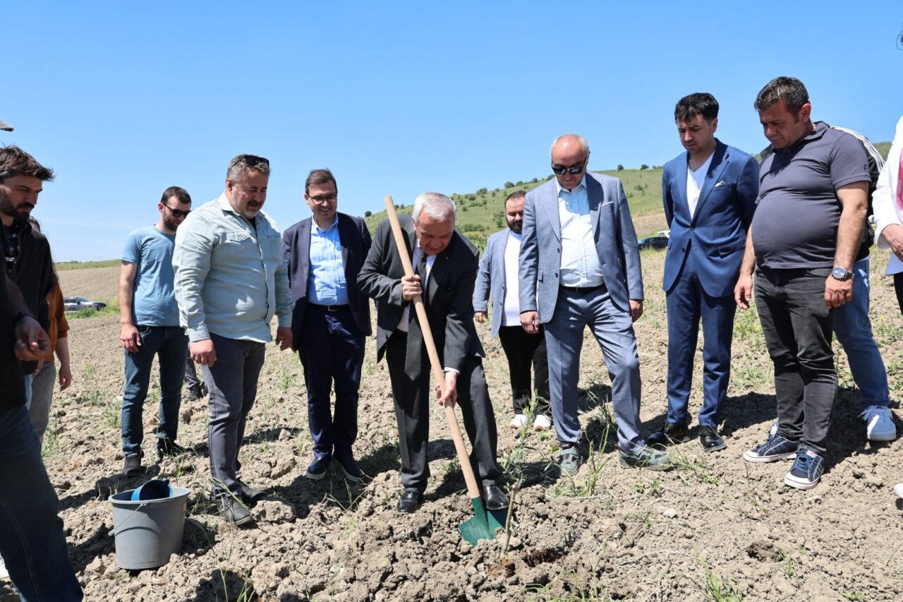 Nilüfer’de 800 fidan toprakla buluştu