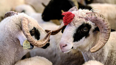 Bayram tatili 9 güne uzatıldı mı? Açıklama geldi