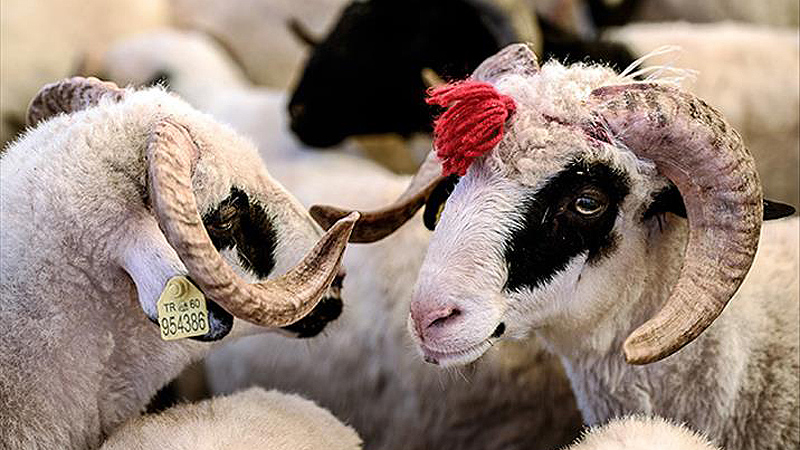 Bayram tatili 9 güne uzatıldı mı? Açıklama geldi