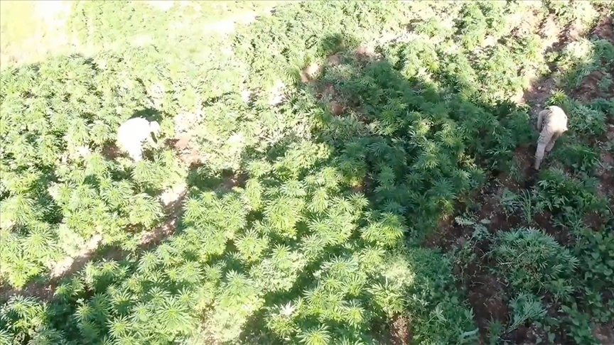 Bakan Yerlikaya açıkladı! Dev operasyon