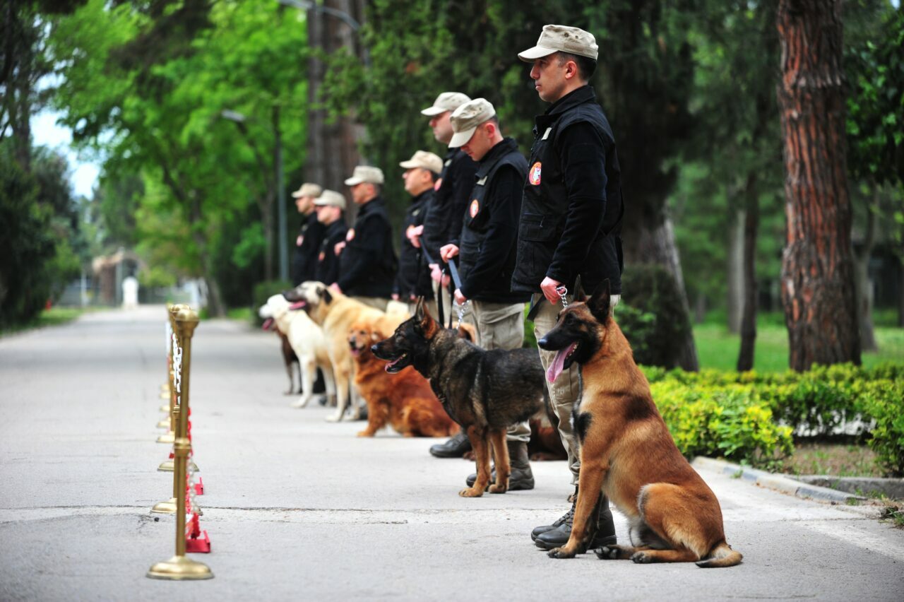 TSK’nın ‘kahraman köpekleri’ Bursa’da yetişiyor