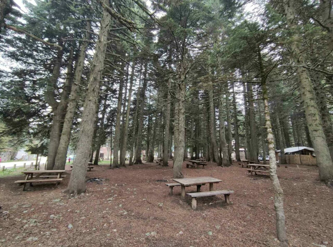 Uludağ’da 580 liraya 5 yıldızlı tatil! Başvurular başlıyor