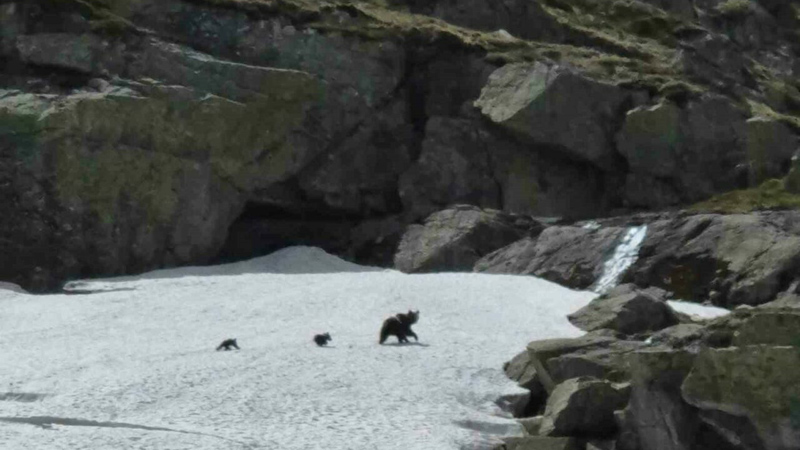 Uludağ’da dağcılar görüntüledi! O anlar kamerada