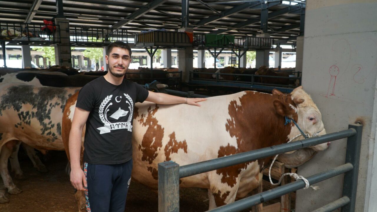 Bursa kurbanlıklar ne kadar? İşte 980 kiloluk şampiyonun fiyatı…