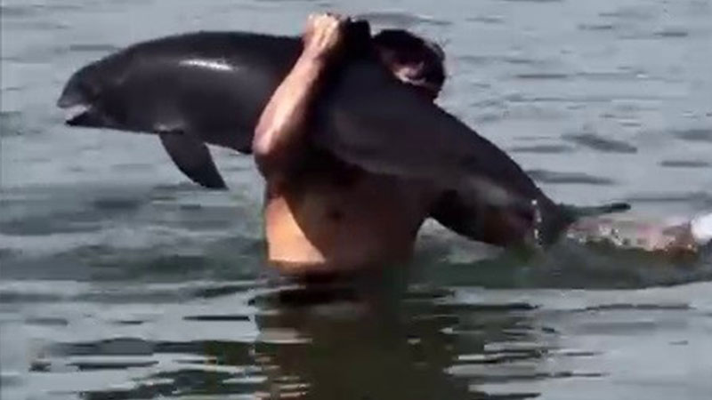 Bursa’da yüzerken ölüsüyle karşılaştı, sırtına alıp kıyıya taşıdı Bursa’da yüzerken ölüsüyle karşılaştı, sırtına alıp kıyıya taşıdı