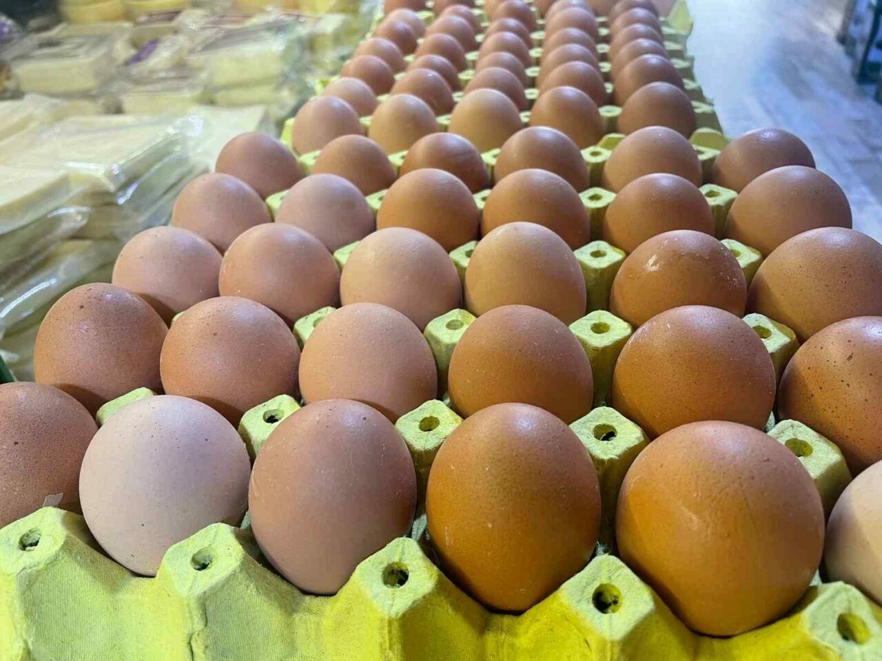 Yumurta kabuğu deyip geçmeyin! Sanayide çok değerli…