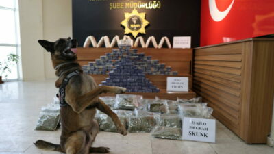 Zehir tacirlerine darbe